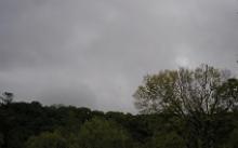 Dark clouds behind the trees of a forested area.
